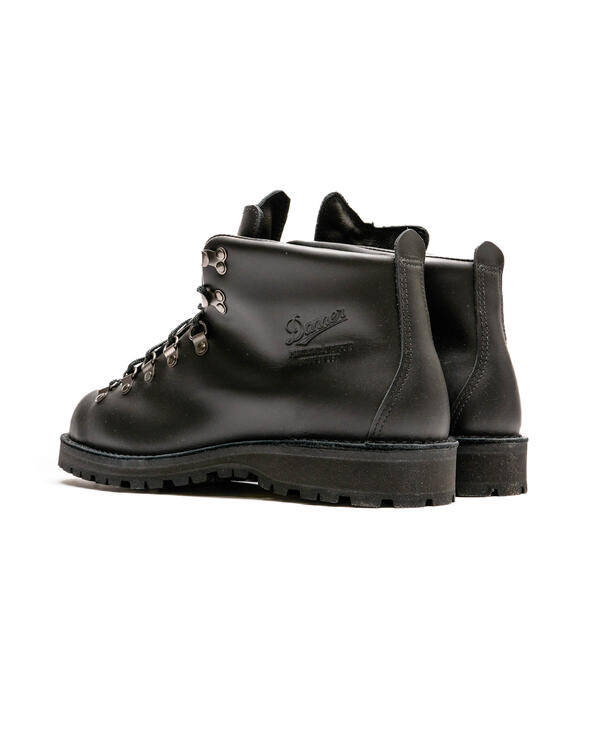 Danner Mountain Light (EE) | 31530 | AmaflightschoolShops STORE